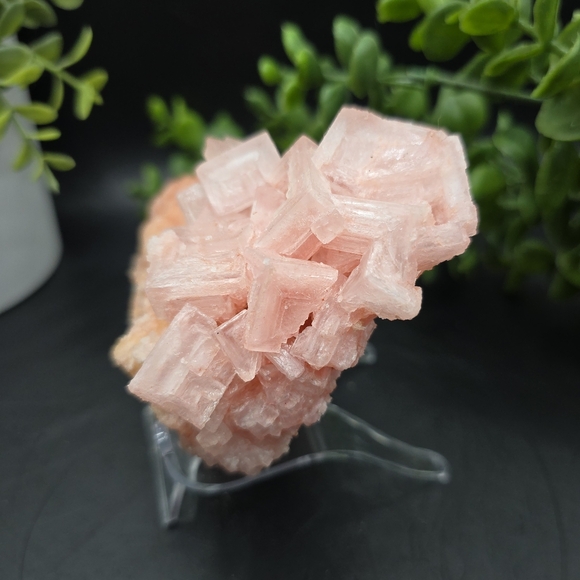 - Halite on Trona Ca - Picture 3 of 3